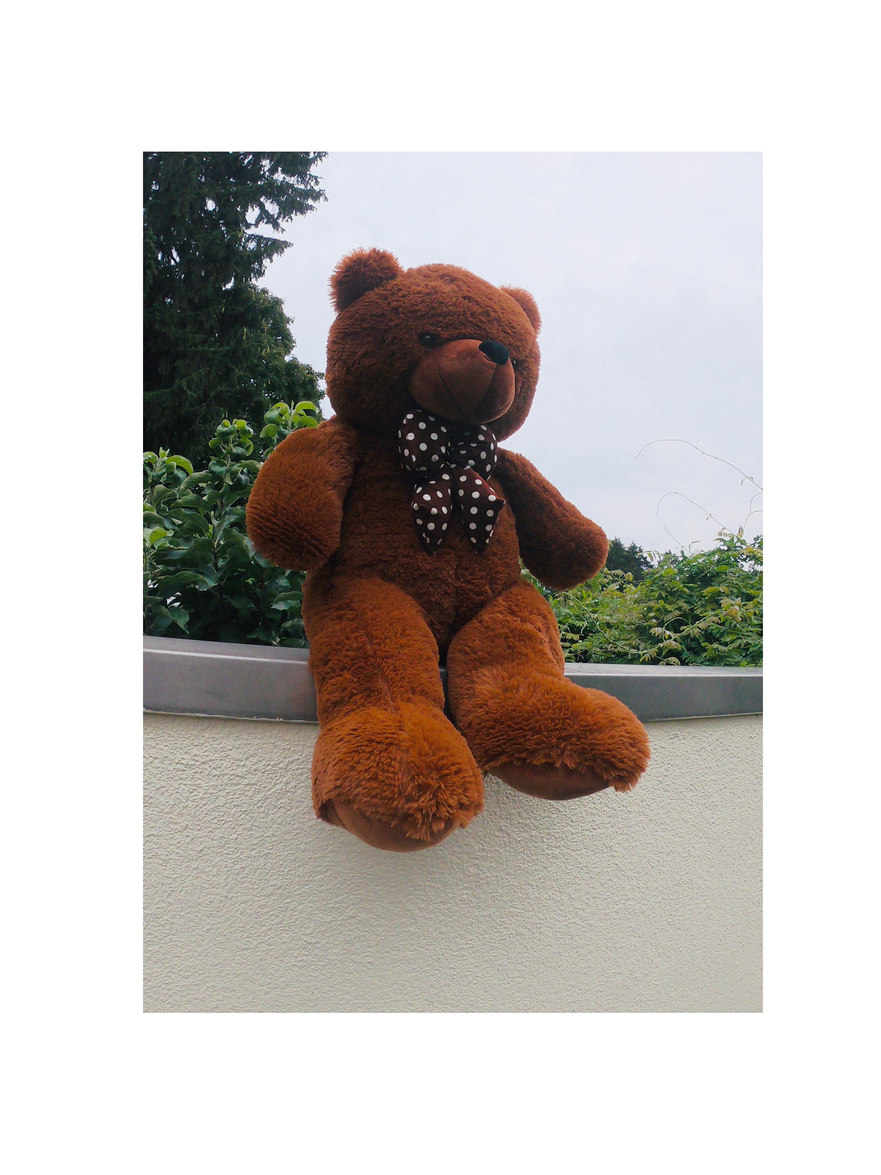 NEU-größte Schachspieler ständig Teddybär-süßer Kuschel-Geschenk 